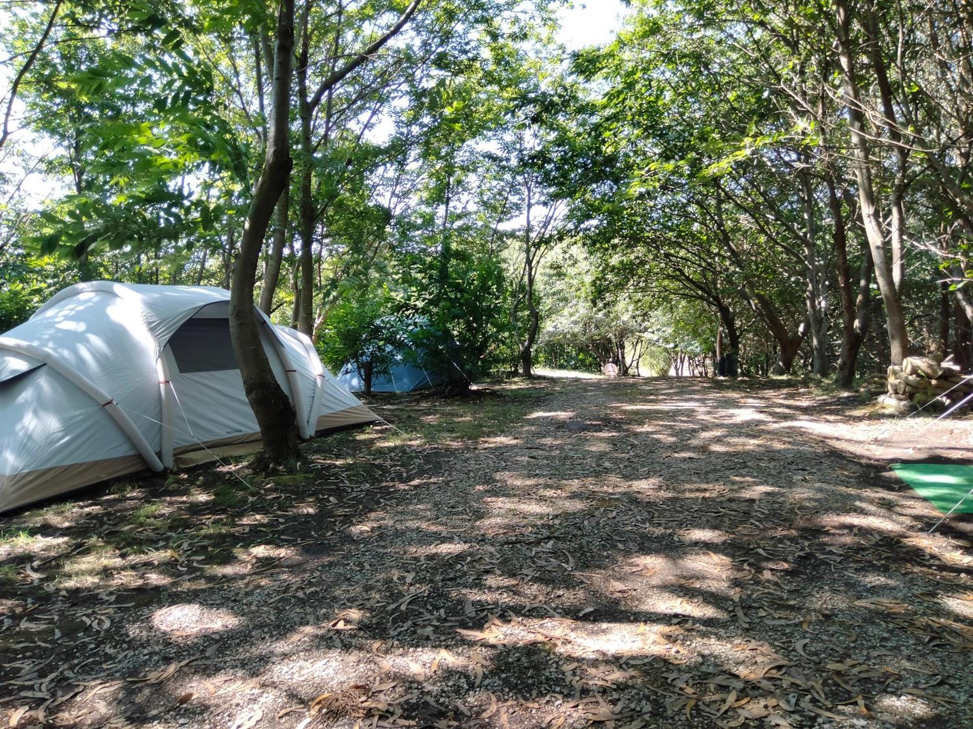 La Finca - Campamento En La Naturaleza Carranceja Exterior photo