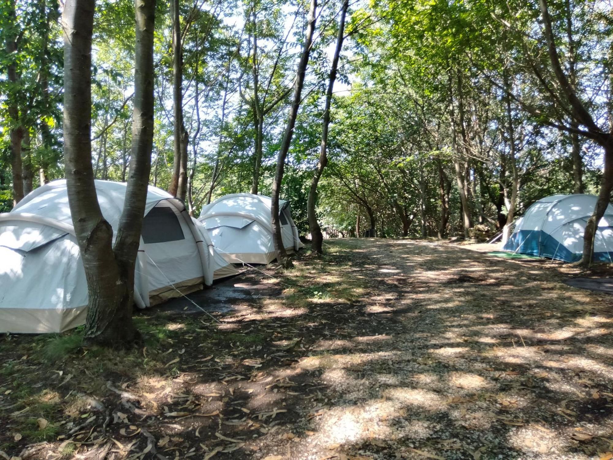 La Finca - Campamento En La Naturaleza Carranceja Exterior photo
