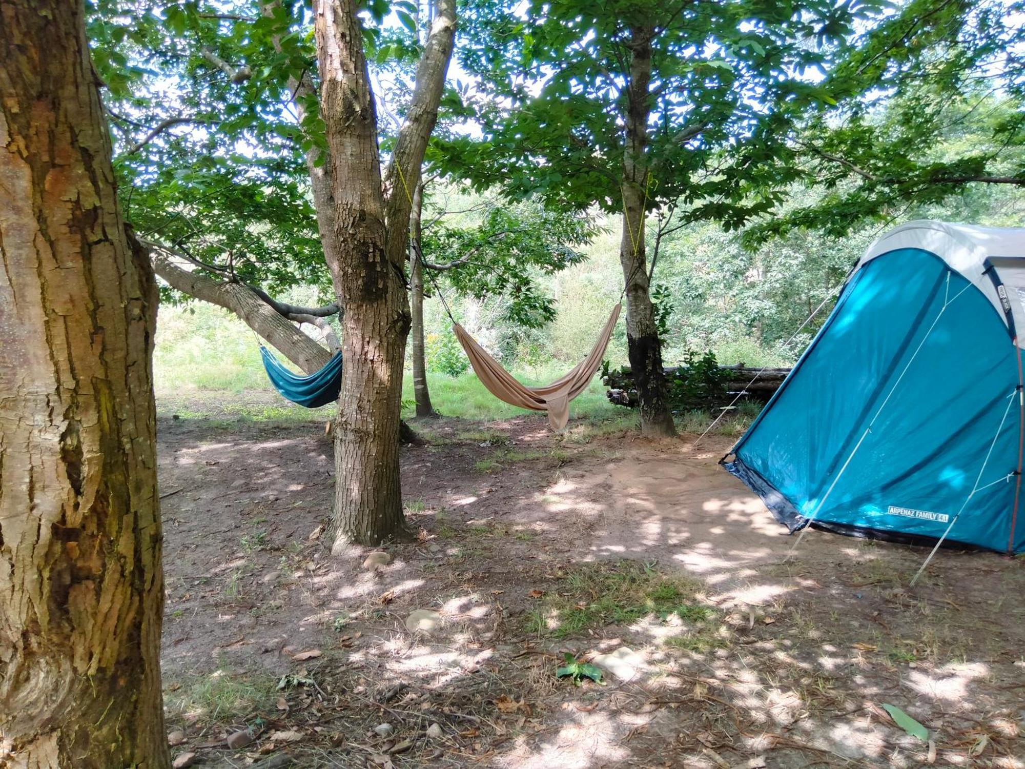 La Finca - Campamento En La Naturaleza Carranceja Room photo