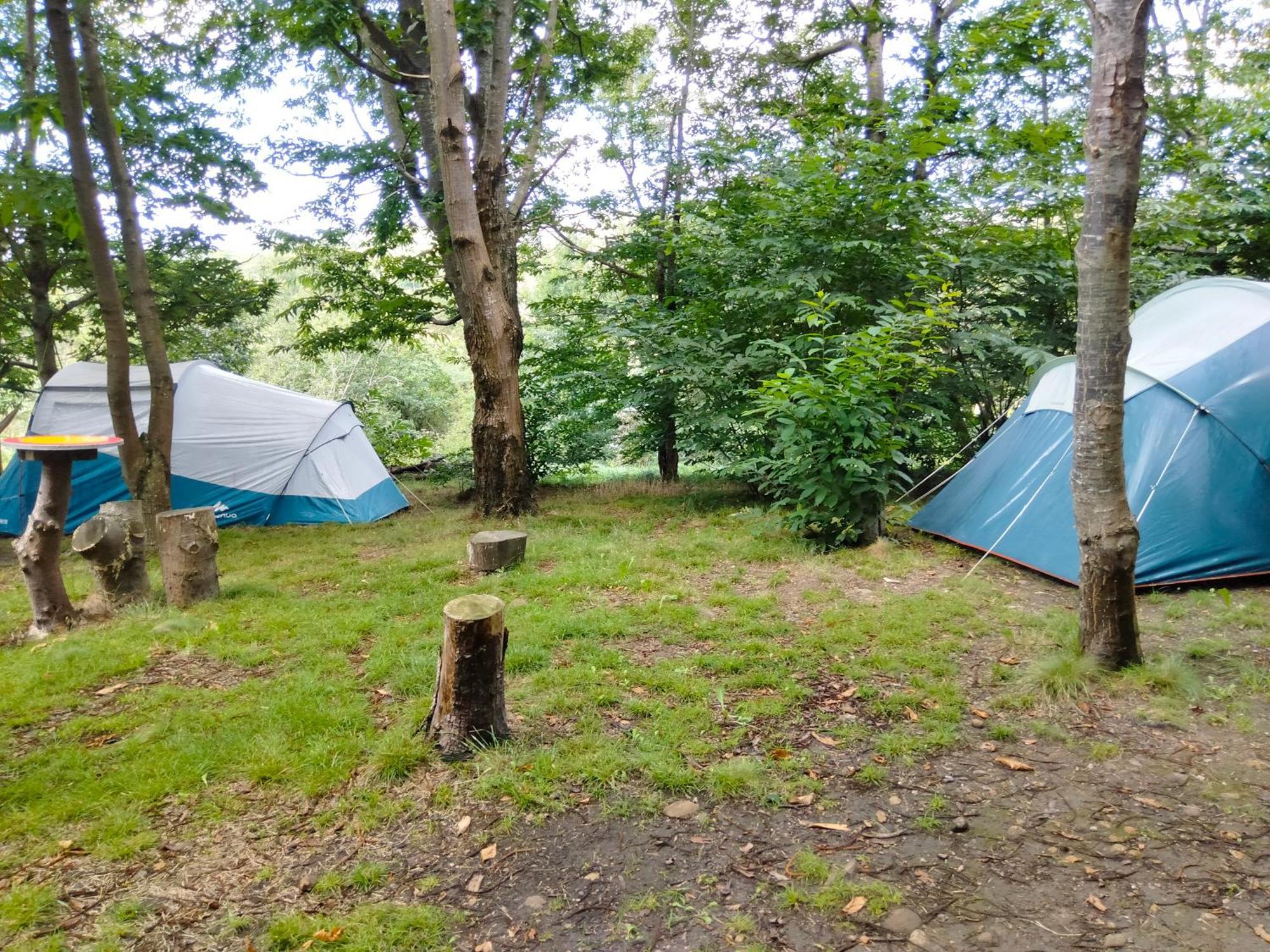 La Finca - Campamento En La Naturaleza Carranceja Room photo